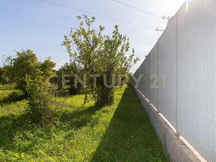 Immagine 15 di Terreno agricolo in vendita  in Via San Piero Patti 108 a Acireale