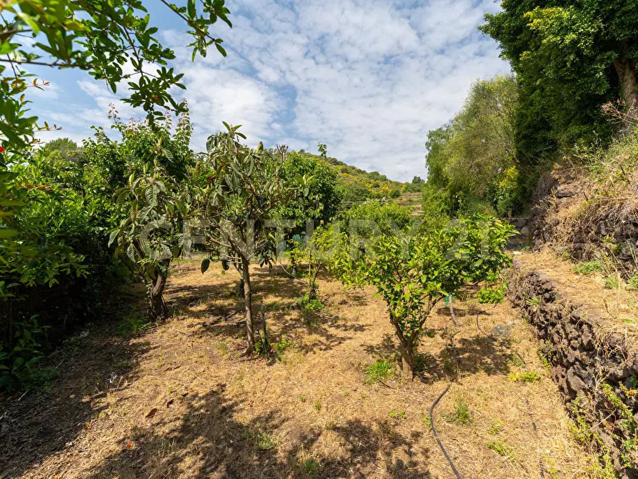 Immagine 33 di Villa in vendita  in Via Dietro Serra 2 a Viagrande