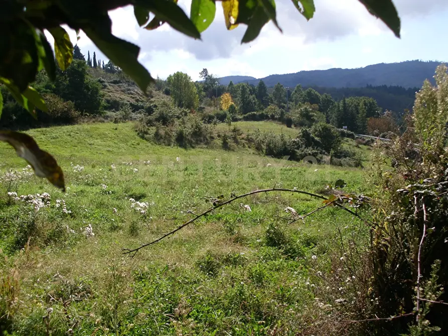 Immagine 18 di Rustico / casale in vendita  in la serra 57 a Arcidosso