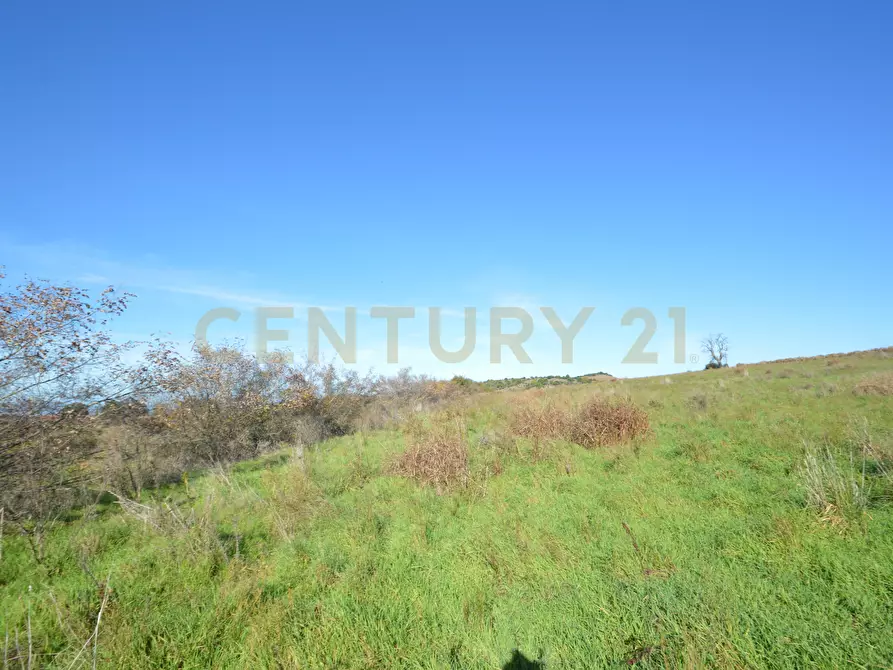 Immagine 1 di Terreno agricolo in vendita  in Strada Provinciale Montiano a Grosseto