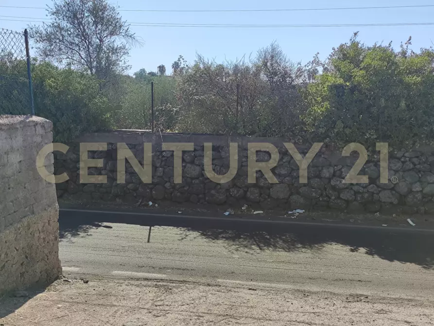 Immagine 19 di Terreno agricolo in vendita  in CONTRADA RACCOMANDATA a Misterbianco