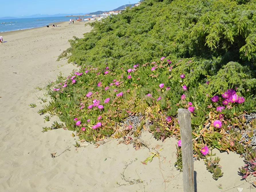 Immagine 40 di Quadrilocale in vendita  a Castiglione Della Pescaia