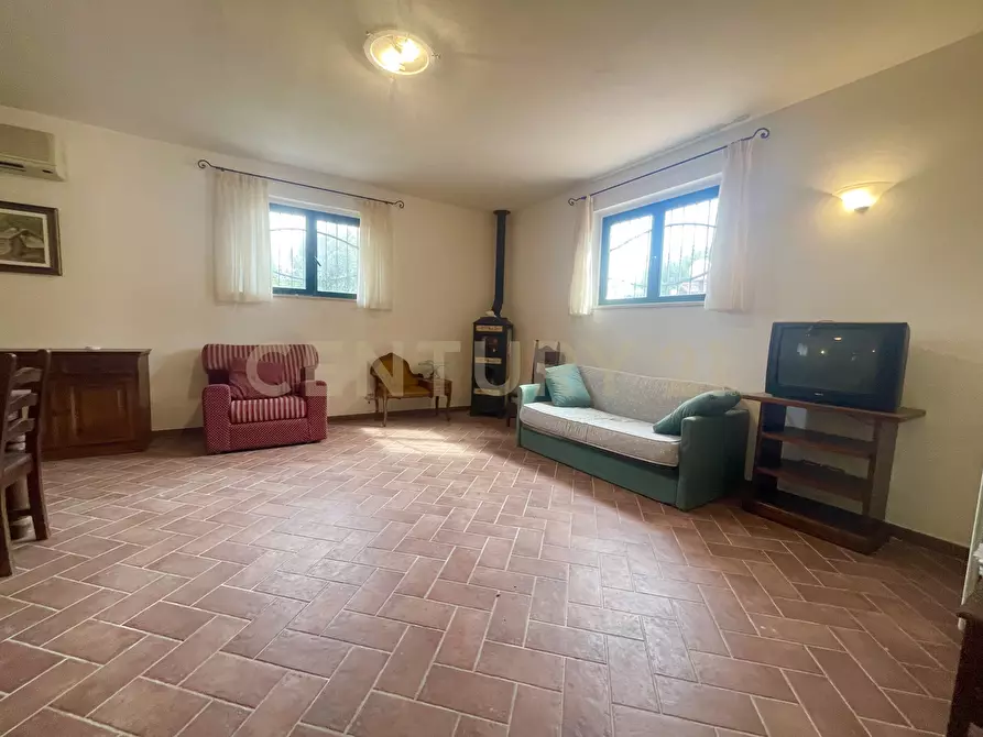 Immagine 27 di Azienda agricola in vendita  in località colle di lupo a Magliano In Toscana