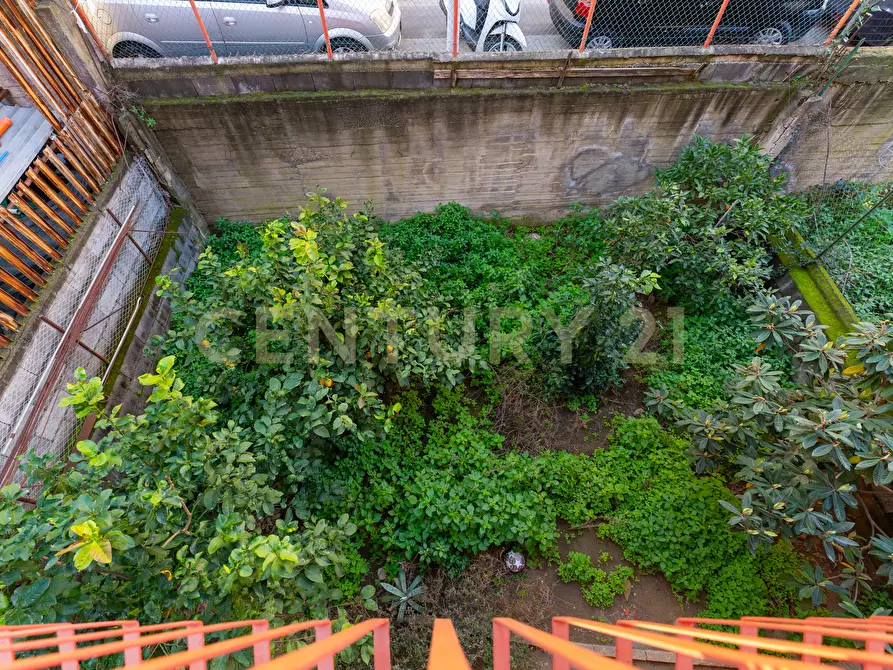 Immagine 77 di Casa indipendente in vendita  in Via del Chinotto 14 a Catania