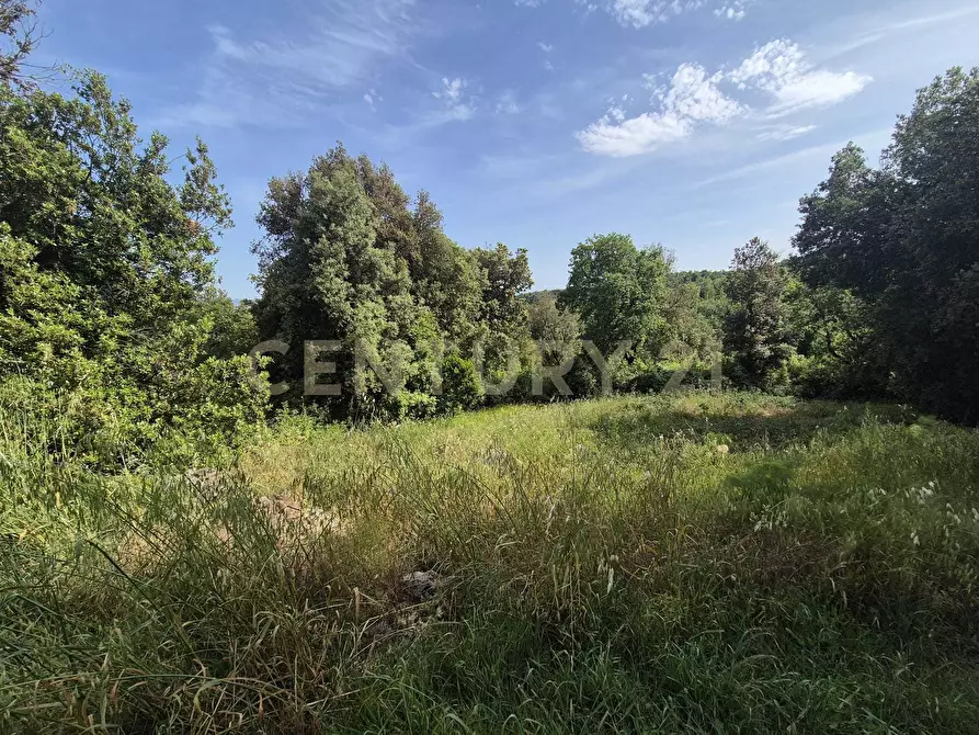 Immagine 30 di Casa bifamiliare in vendita  in località ripoli a Civitella Paganico