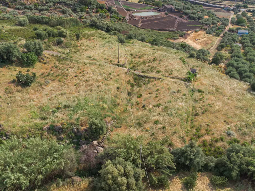 Immagine 31 di Terreno agricolo in vendita  in Via San Leo a Adrano