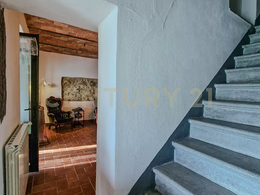 Immagine 33 di Terratetto in vendita  in Località Scovaventi 1 a Semproniano