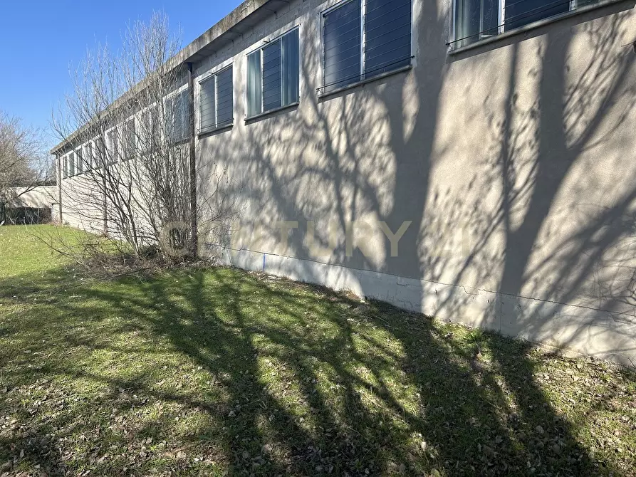 Immagine 15 di Attività artigianale in vendita  in Via San Pierino a Bovolone