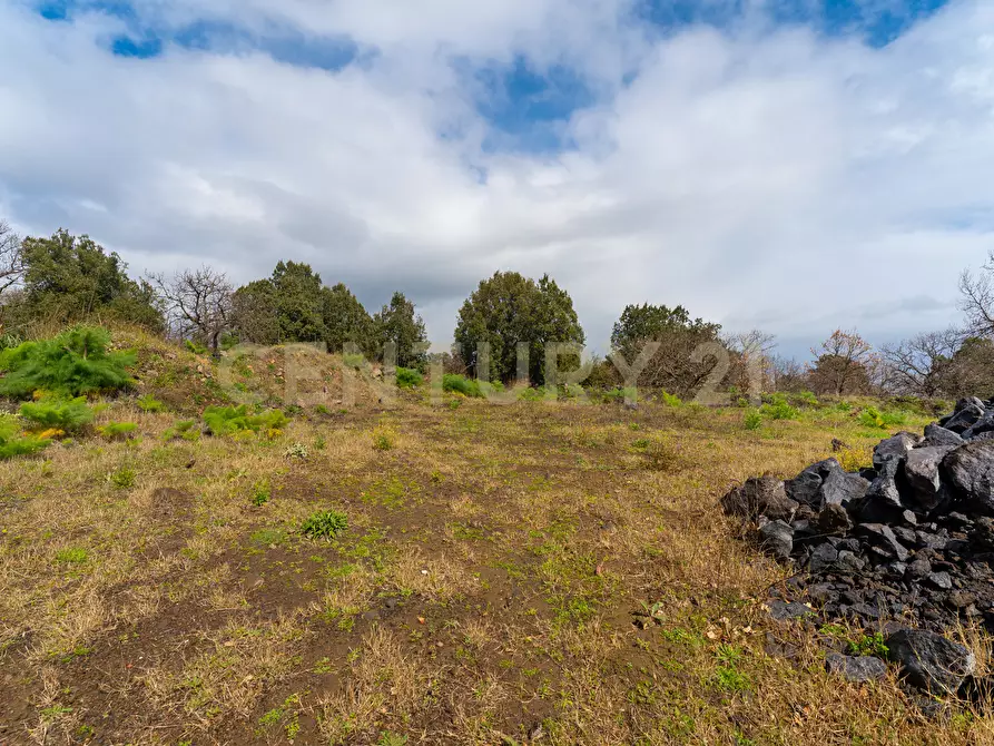 Immagine 14 di Terreno edificabile in vendita  in Via Nocille 55 a Mascali