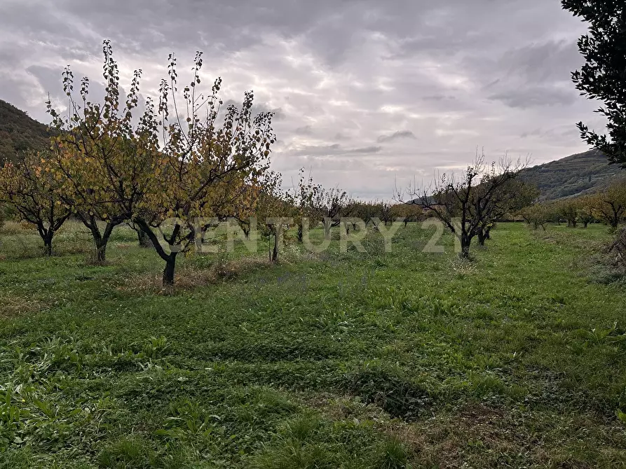 Immagine 34 di Rustico / casale in vendita  in Via Squaranto 6 a Verona