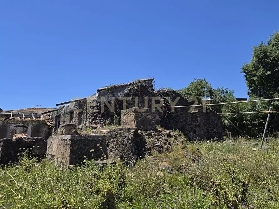 Immagine 56 di Terreno agricolo in vendita  in Vico Agatino De Marco a Gravina Di Catania