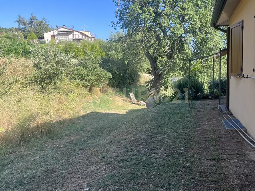 Immagine 17 di Azienda agricola in vendita  in Strada dei Sassi Bianchi a Manciano