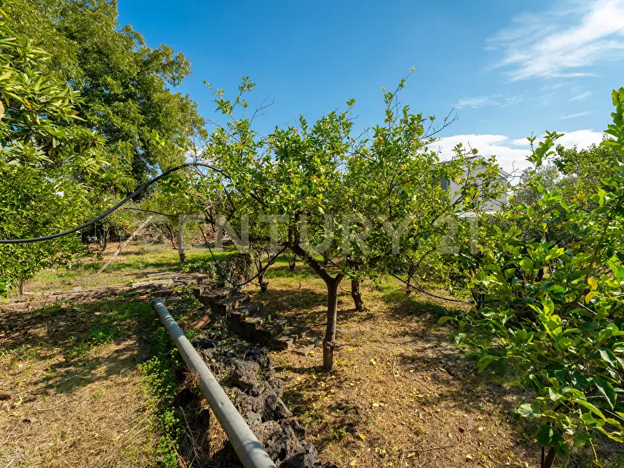 Immagine 19 di Villa in vendita  in Via di Bartolo a San Gregorio Di Catania