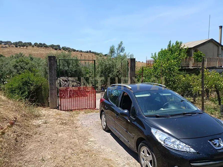 Immagine 25 di Terreno agricolo in vendita  in Contrada Agnelleria a Belpasso