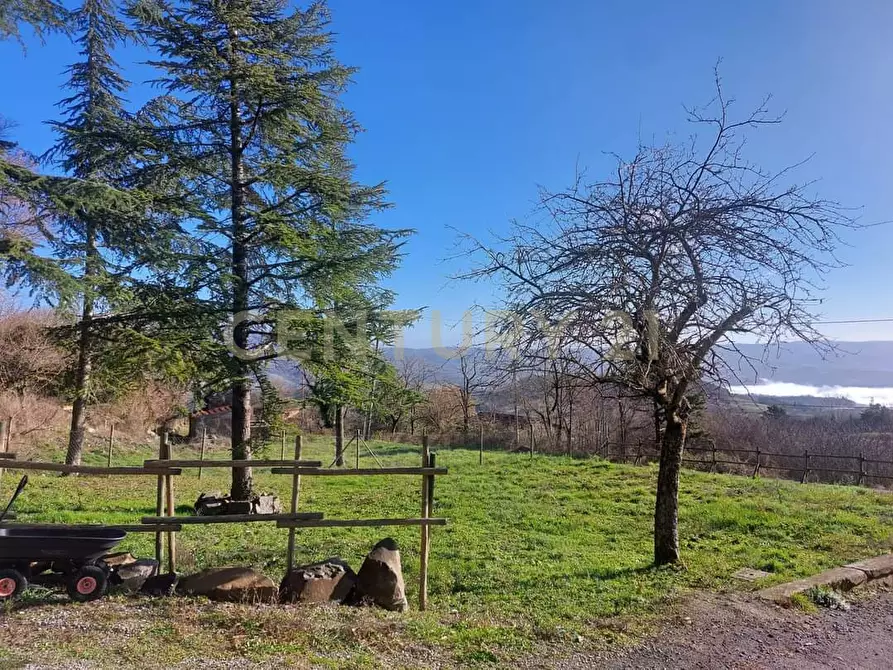 Immagine 11 di Loft/Open space in vendita  in via fonte antese snc a Radicofani