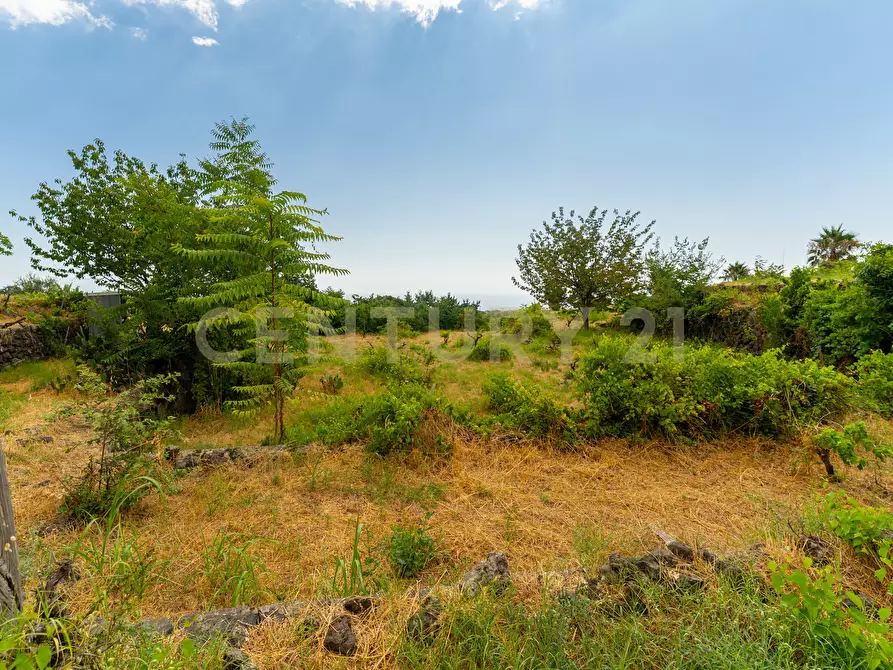Immagine 45 di Villa in vendita  in Via Grazia Deledda 28 a Santa Venerina