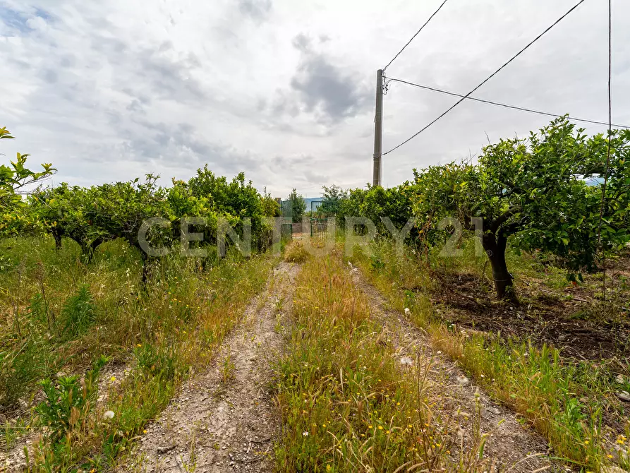 Immagine 20 di Rustico / casale in vendita  in Strada Provinciale 92 92 a Francofonte