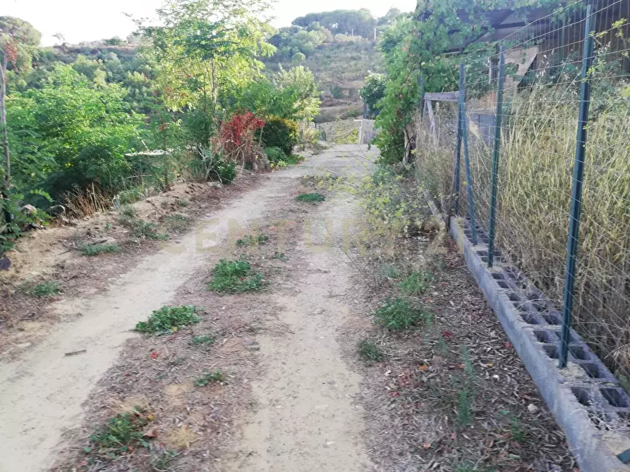 Immagine 5 di Terreno agricolo in vendita  in Contrada Piano Cannata Balatazza a Piazza Armerina