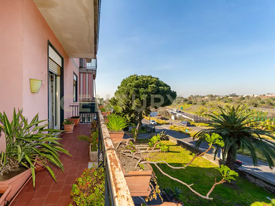 Immagine 38 di Trilocale in vendita  in Via Duca degli Abruzzi 163 a San Giovanni La Punta