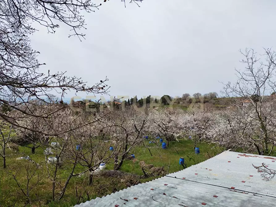 Immagine 30 di Terreno agricolo in vendita  in BIANCAVILLA a Catania
