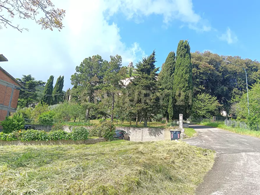 Immagine 5 di Pentalocale in vendita  in Via della Chiesa 1 a Castiglione D'orcia