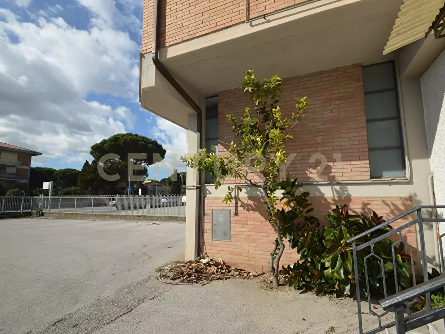 Immagine 52 di Casa bifamiliare in vendita  in Via Aurelia Nord 181 a Grosseto