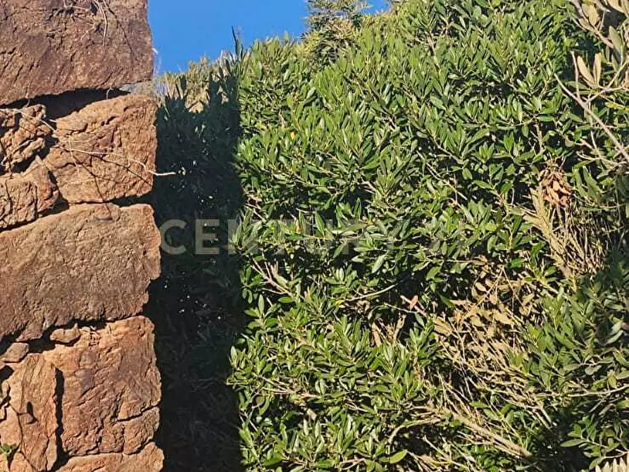 Immagine 3 di Casa indipendente in vendita  in Vicolo del Tufo 12 a Pantelleria