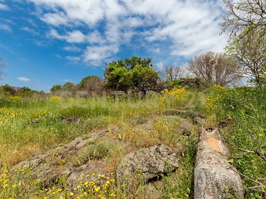 Immagine 13 di Terreno industriale in vendita  in Via dei Belfiore 4 a Valverde