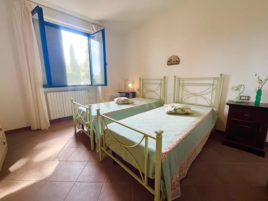 Immagine 35 di Azienda agricola in vendita  in località colle di lupo a Magliano In Toscana