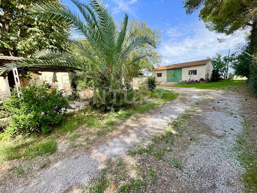 Immagine 4 di Rustico / casale in vendita  in località quarto albegna snc a Manciano