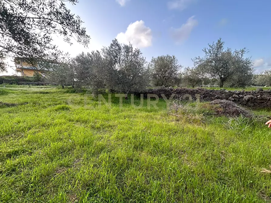 Immagine 24 di Terreno agricolo in vendita  in Via Giovanni Verga 1/A a Misterbianco