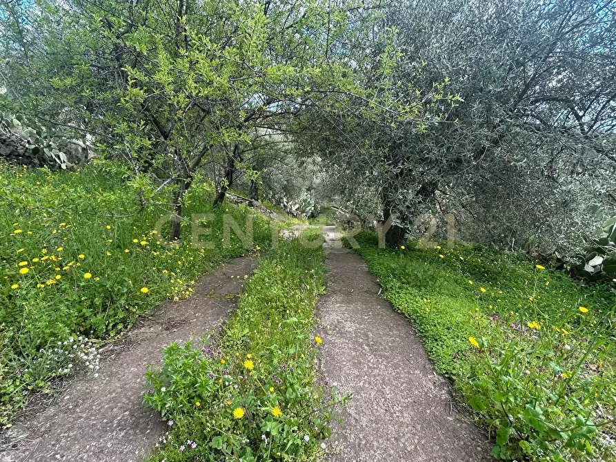 Immagine 12 di Terreno edificabile in vendita  in Viale Giovanni Falcone 9 a Camporotondo Etneo