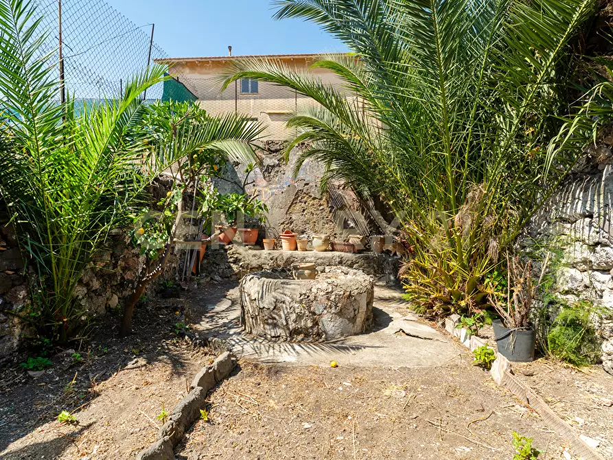 Immagine 25 di Quadrilocale in vendita  in Via Timoleone 113 a Catania