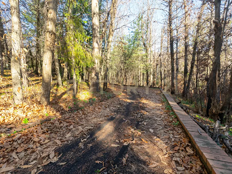 Immagine 32 di Villa in vendita  in Via della Regione 70 a Pedara