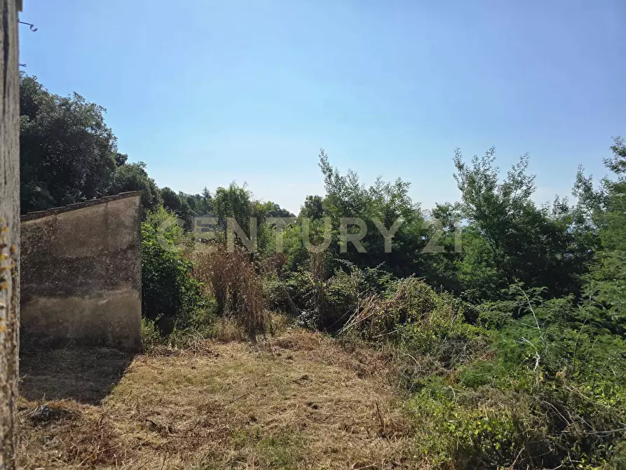 Immagine 12 di Rustico / casale in vendita  in LOCALITA CASETTE a Roccastrada