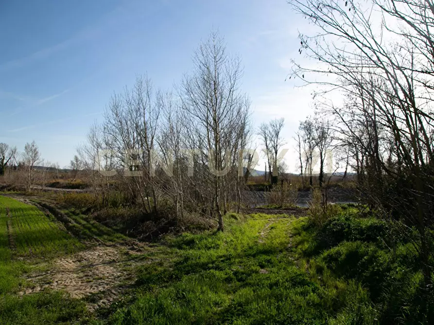 Immagine 23 di Rustico / casale in vendita  a Civitella Paganico