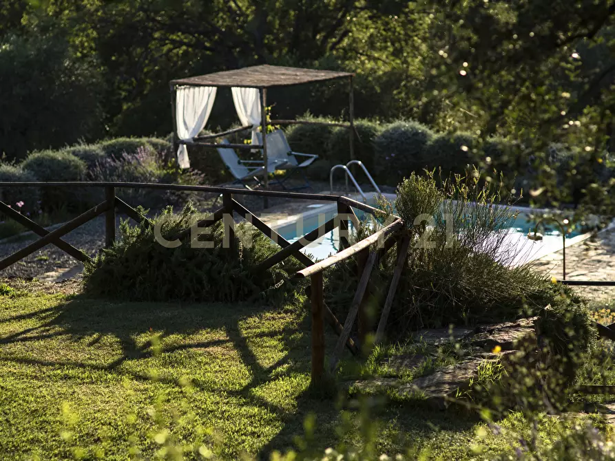 Immagine 38 di Rustico / casale in vendita  in località podere bizzarri a Scarlino