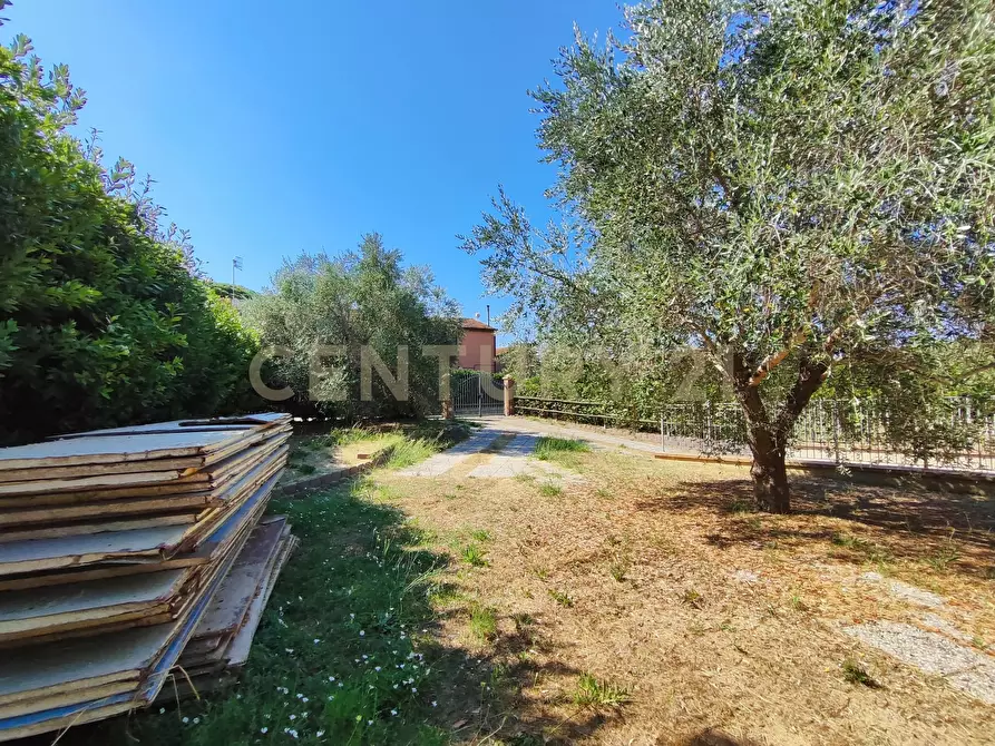 Immagine 7 di Casa bifamiliare in vendita  in Via san martino snc a Castiglione Della Pescaia