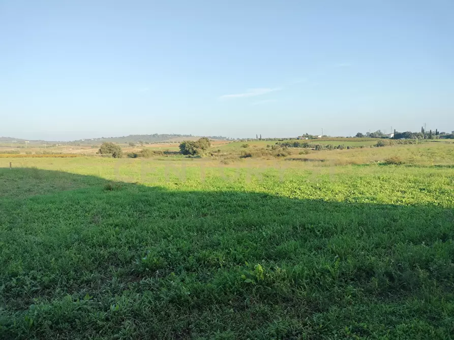 Immagine 4 di Casa bifamiliare in vendita  in Strada Cava del Gesso 2 a Capalbio