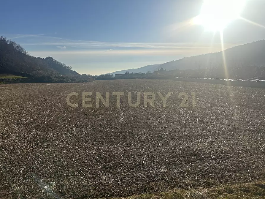 Immagine 6 di Terreno edificabile in vendita  in Via Don Giovanni Calabria 2 a Tregnago