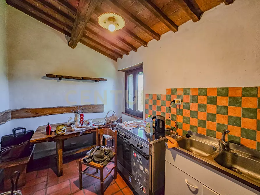 Immagine 13 di Rustico / casale in vendita  in monte labbro a Arcidosso