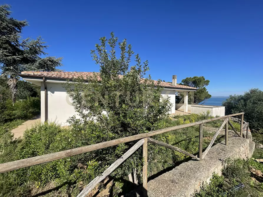 Immagine 29 di Villa in vendita  in località santa liberata a Monte Argentario