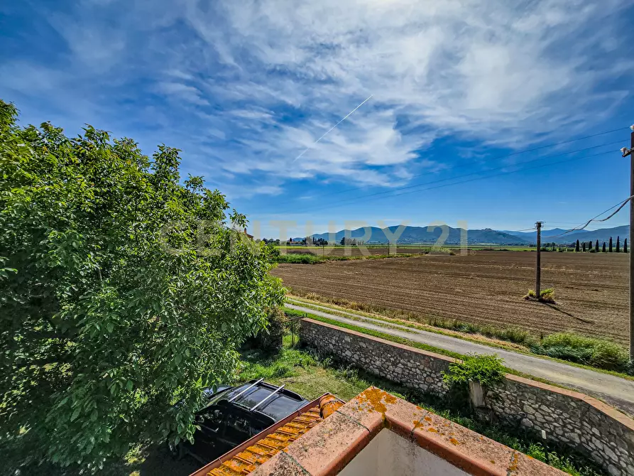 Immagine 19 di Rustico / casale in vendita  in Strada Comunale di Montalcino 65 a Castiglione Della Pescaia