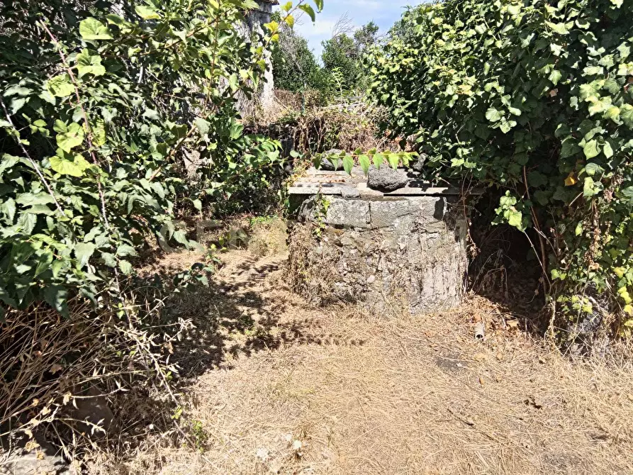 Immagine 18 di Rustico / casale in vendita  in Via Maugeri 12 a Valverde