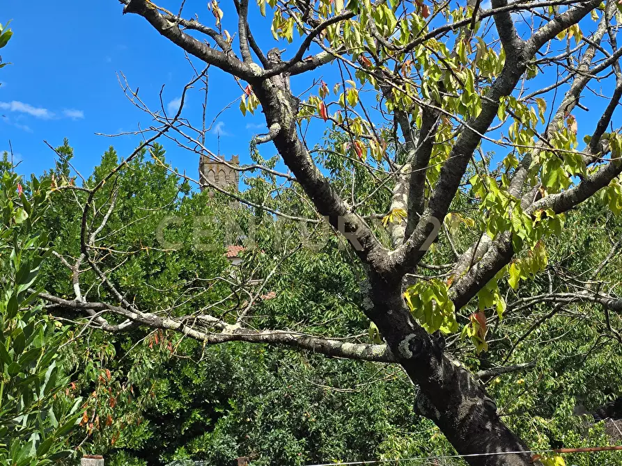 Immagine 24 di Casa indipendente in vendita  in Via dell'Orfanotrofio 20 a Roccastrada