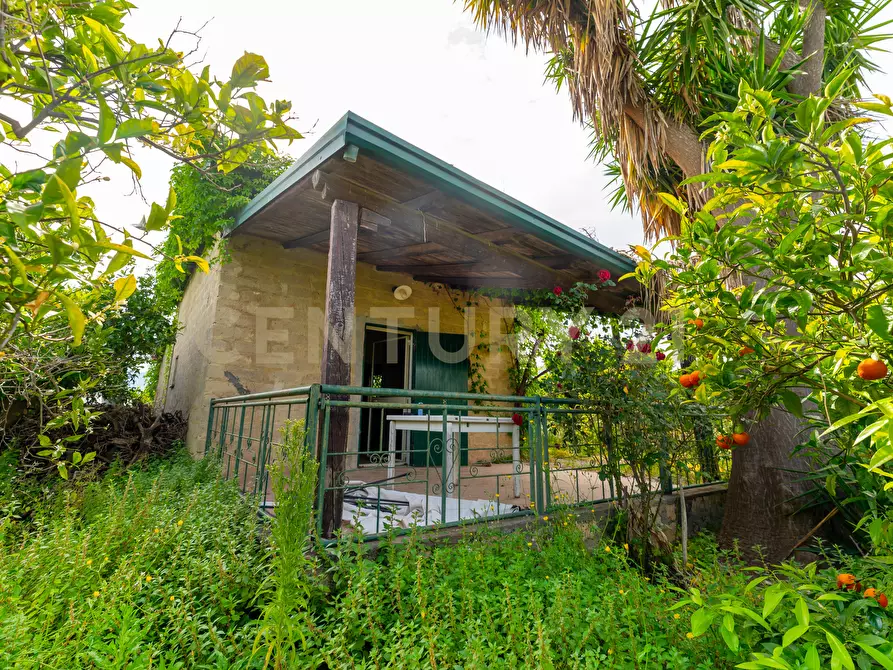 Immagine 36 di Rustico / casale in vendita  in Strada Provinciale 92 92 a Francofonte