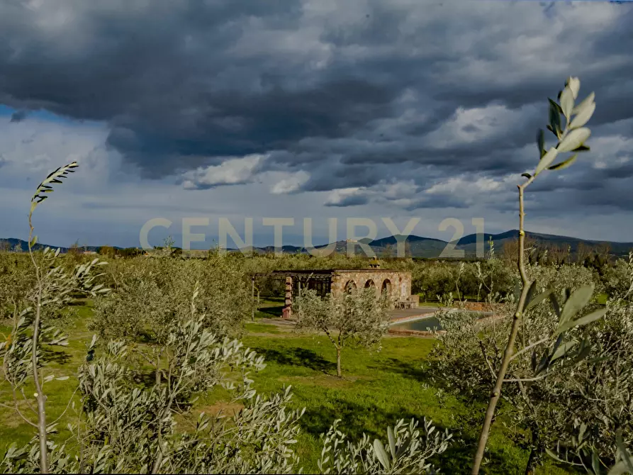 Immagine 9 di Rustico / casale in vendita  in località podere dogana a Roccastrada