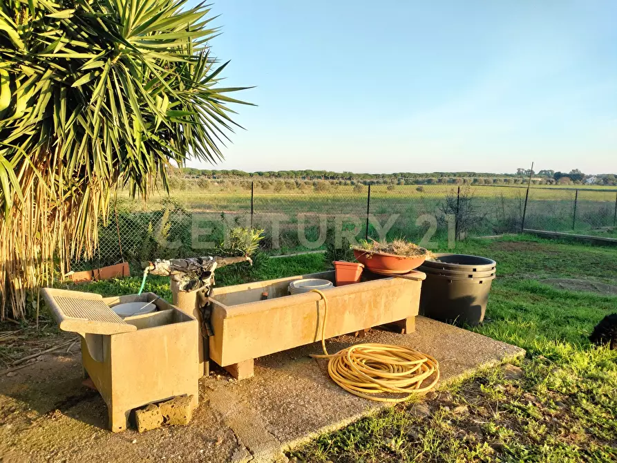 Immagine 9 di Rustico / casale in vendita  in Strada Pedemontana a Capalbio