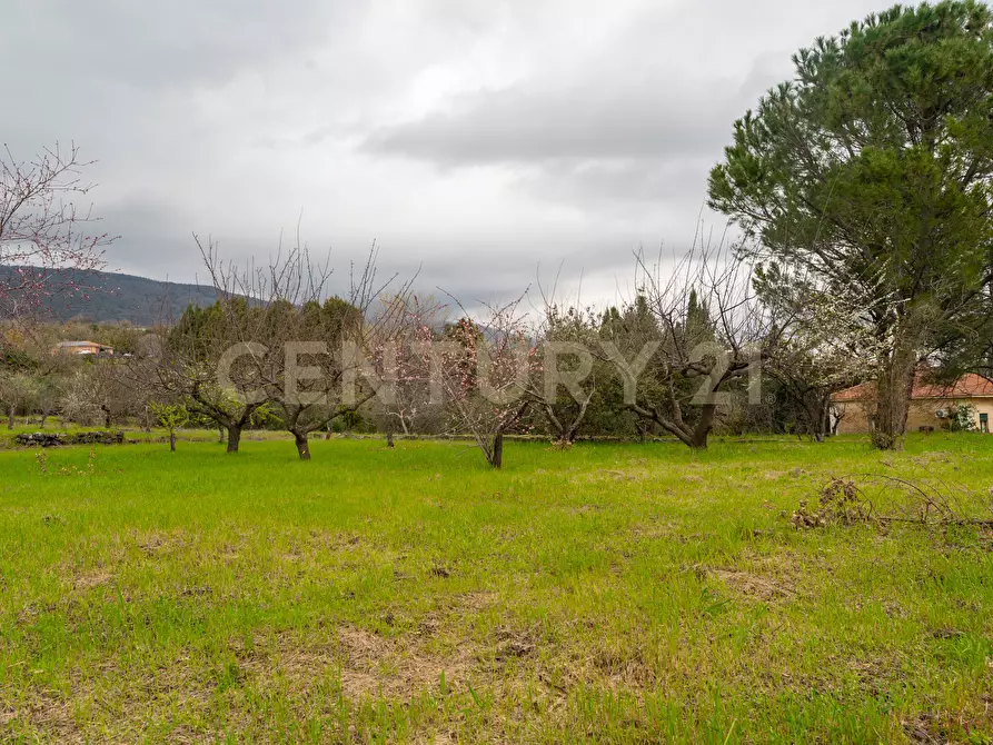 Immagine 84 di Casa indipendente in vendita  in Via Armando Diaz 83 a Zafferana Etnea