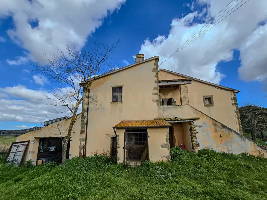 Immagine 6 di Rustico / casale in vendita  in località mandorlaie a Scansano